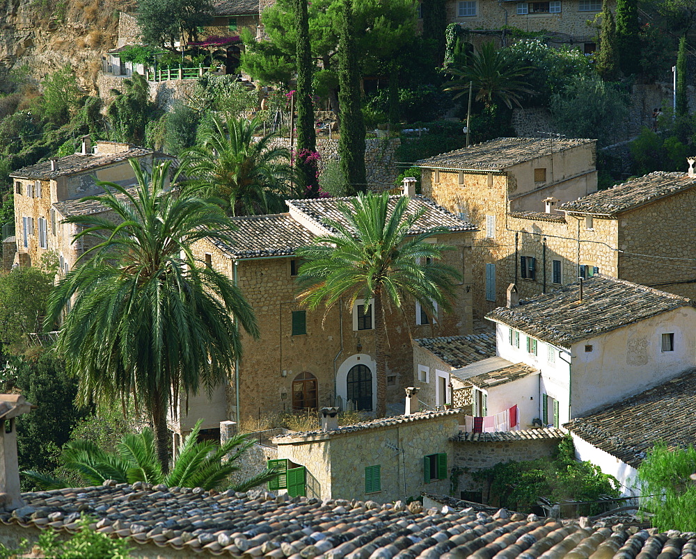 Village houses and palm trees at Deya on Majorca, Balearic Islands, Spain, Europe