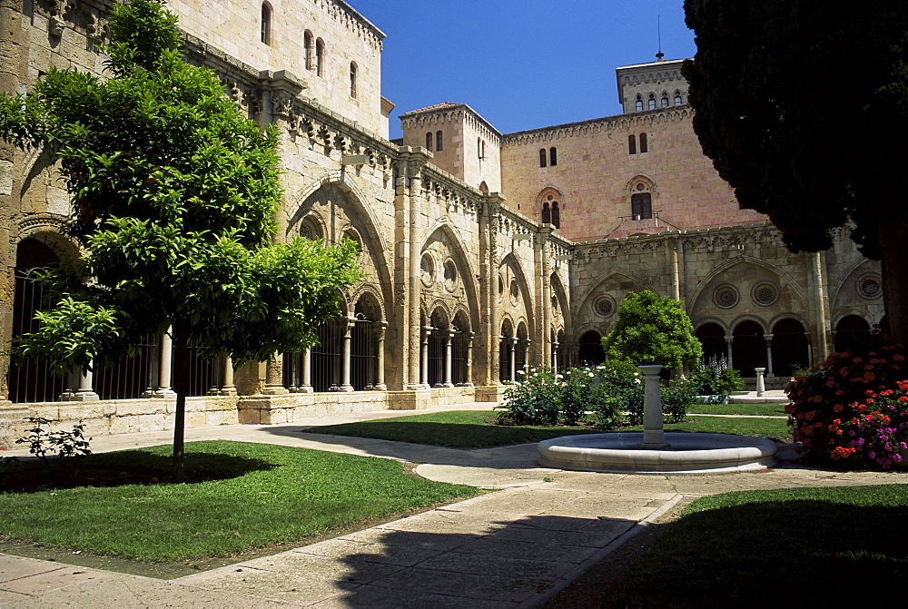 Cloister garden, Tarragona cathedral, Tarragona, Catalonia, Spain, Europe