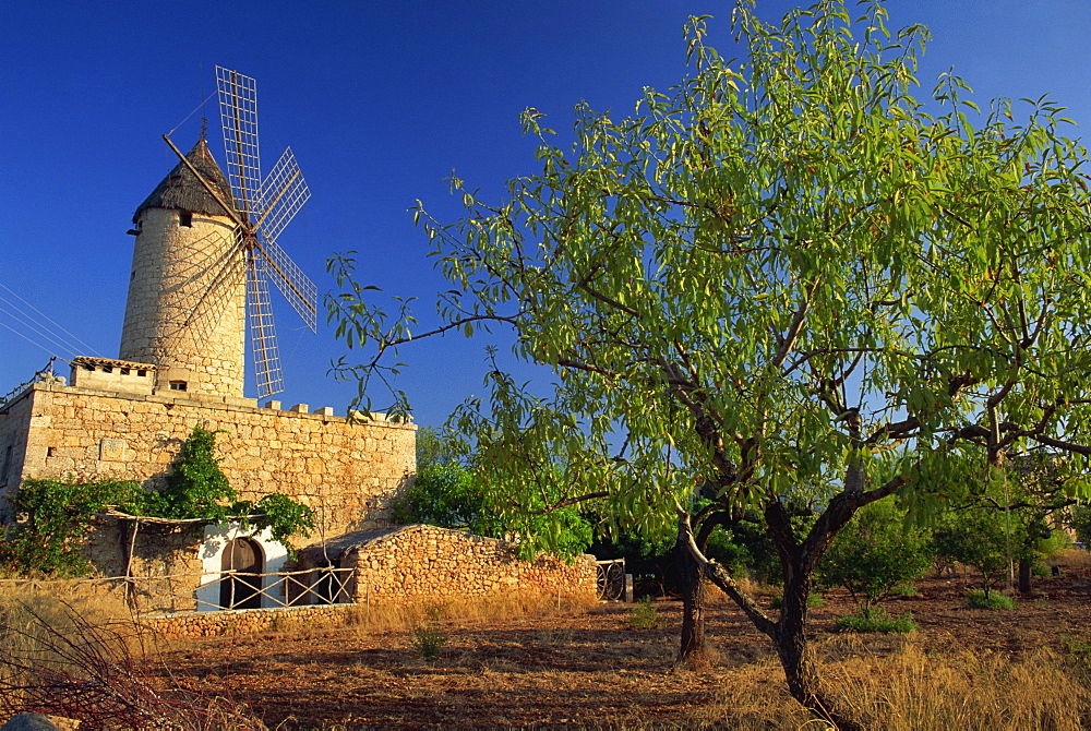 Typical agricultural windmill, Mallorca, Balearic Islands, Spain, Europe