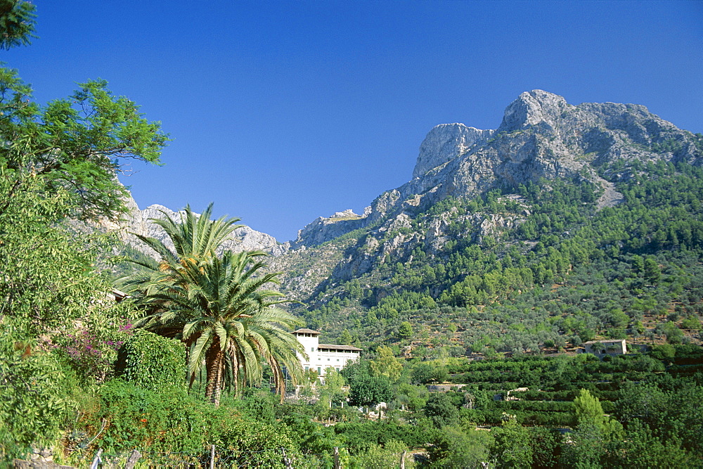 Mountain landscape, Biniaraix, near Soller, Majorca (Mallorca), Balearic Islands, Spain, Europe