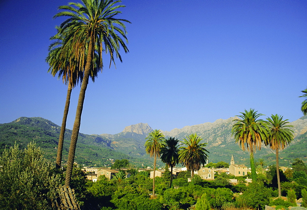 Puerto Pollensa, Majorca (Mallorca), Balearic Islands, Spain, Europe