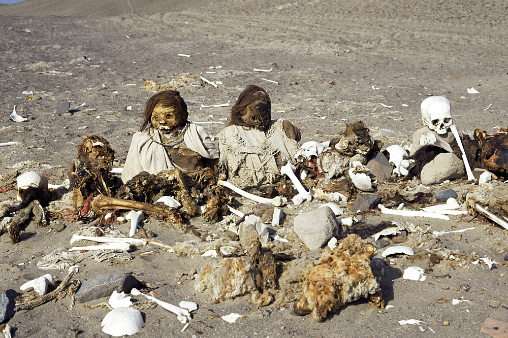 Human remains preserved over 500 years, Chauchilla cemetery, Nazca, Peru, South America