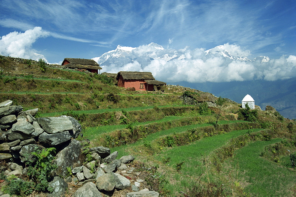 Terraced fields and shrine on a hill at Sarangkot with the Annapurna range of mountains in the background, near Pokhara, Nepal, Asia