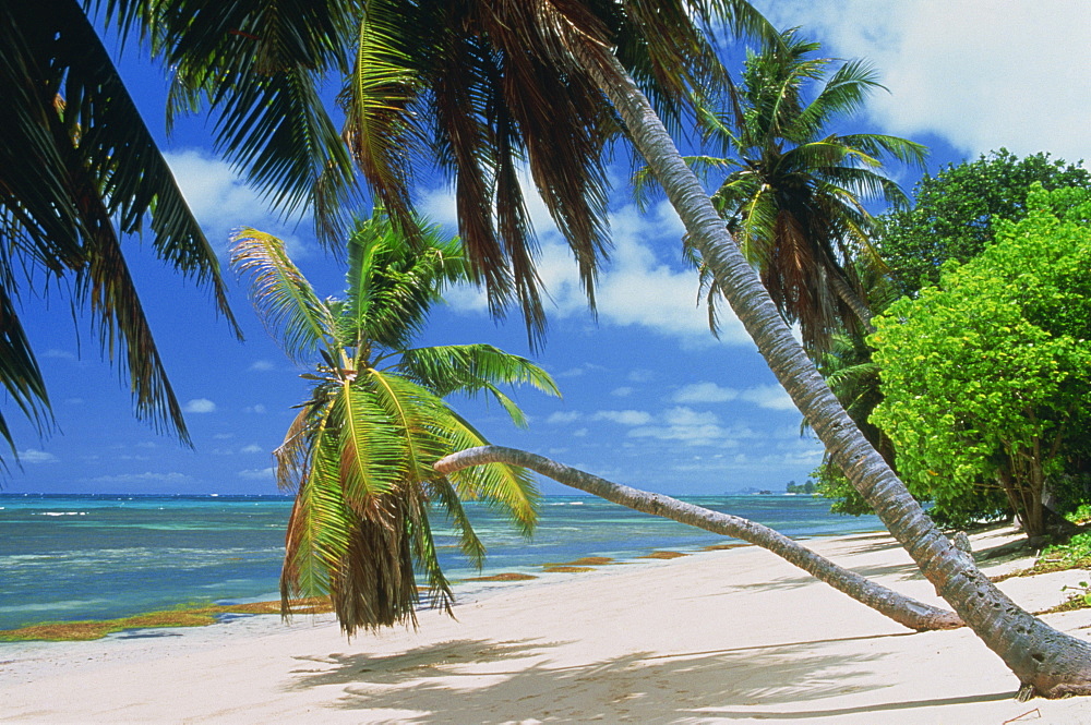 Praslin beach, Seychelles, Indian Ocean, Africa