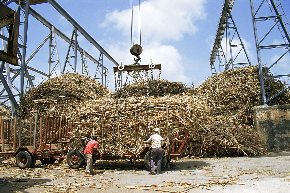 St. Andrew Sugar Factory, Barbados, West Indies, Caribbean, Central America