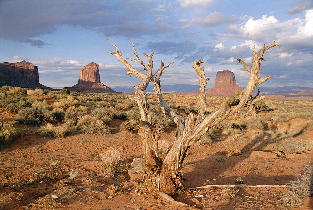 Monument Valley, Arizona, United States of America (U.S.A.), North America