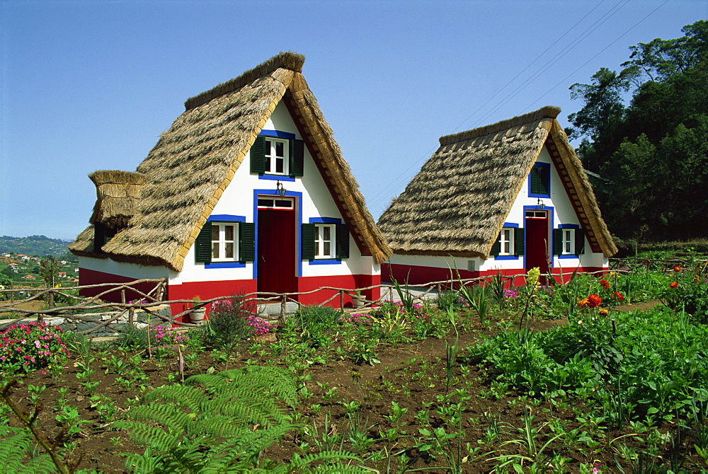 Old thatched farmhouses in gardens at Santana, Madeira, Portugal, Europe