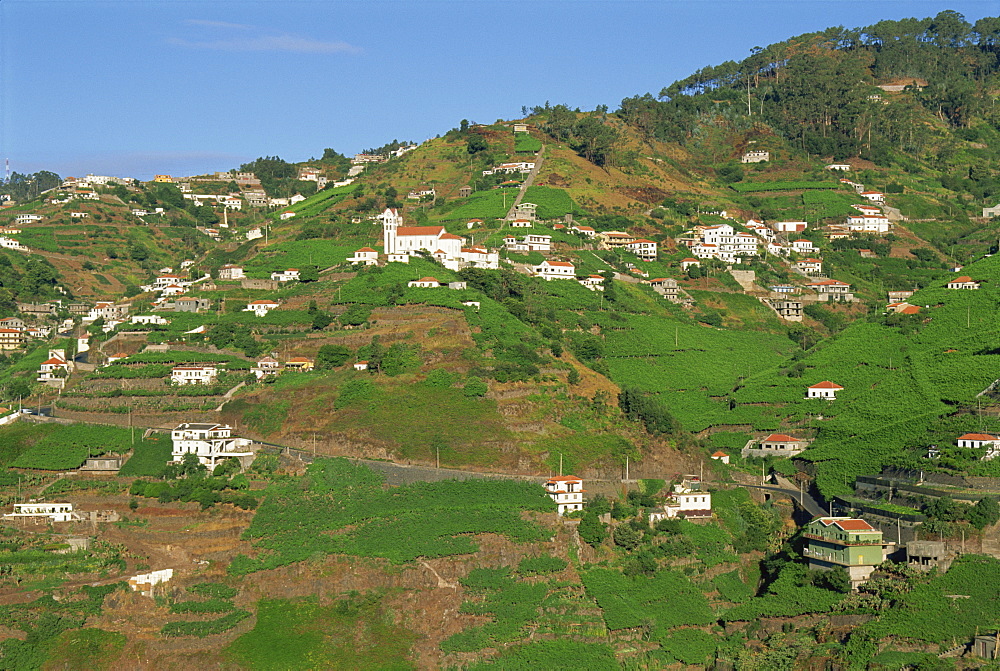 Houses, church and green fields on the hill at Quinta Grande on the island of Madeira, Portugal, Europe