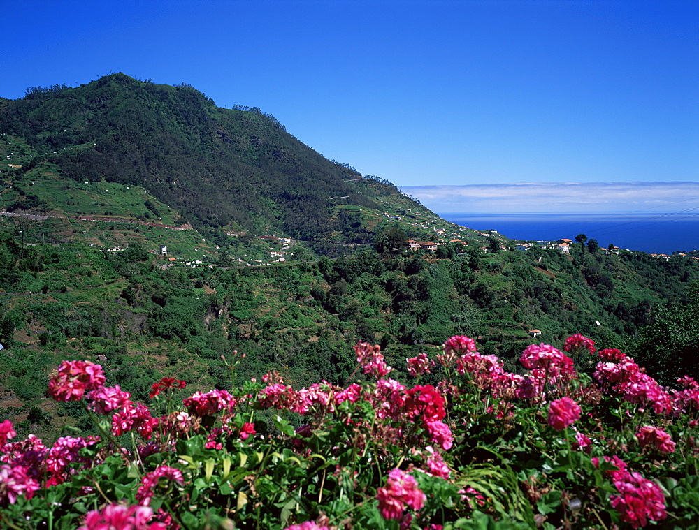 Landscape near Sao Roque do Faial, island of Madeira, Portugal, Atlantic, Europe