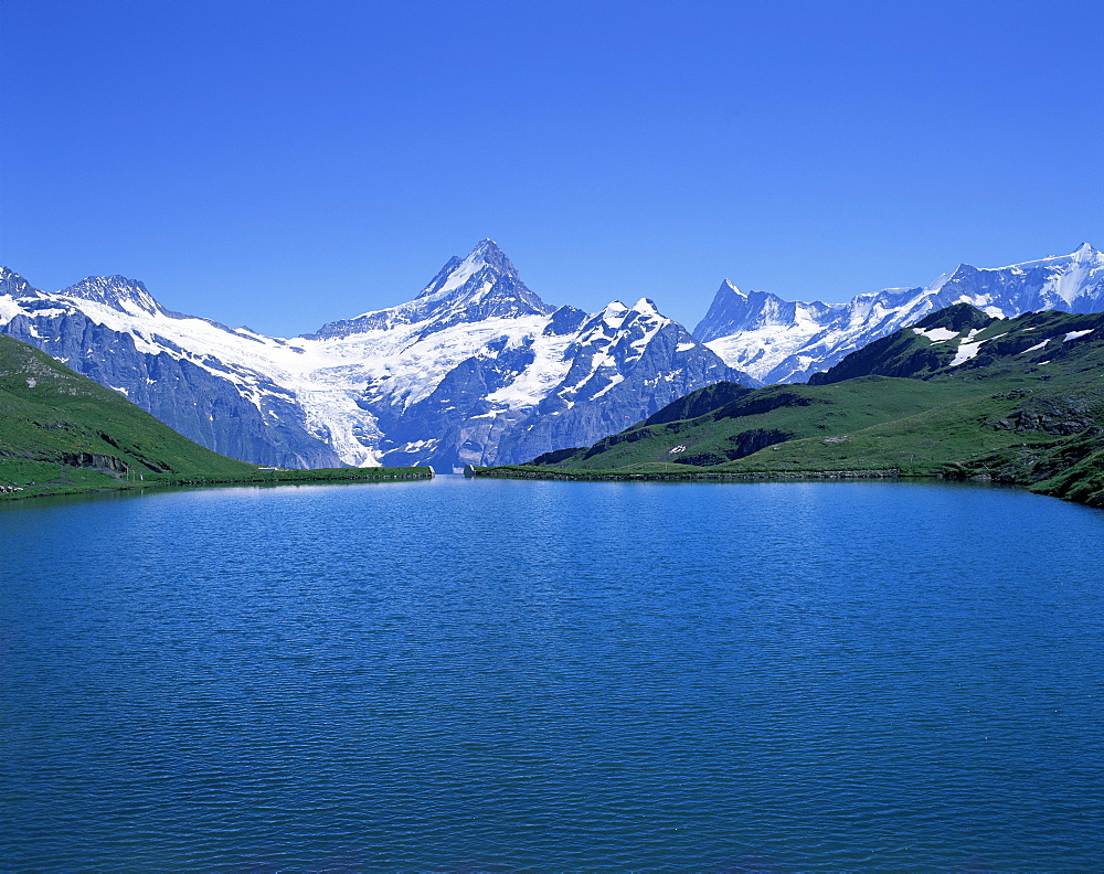 Bachalpsee, Schreckhorn and Finsterarhorn, Bernese Oberland, Swiss Alps, Switzerland, Europe