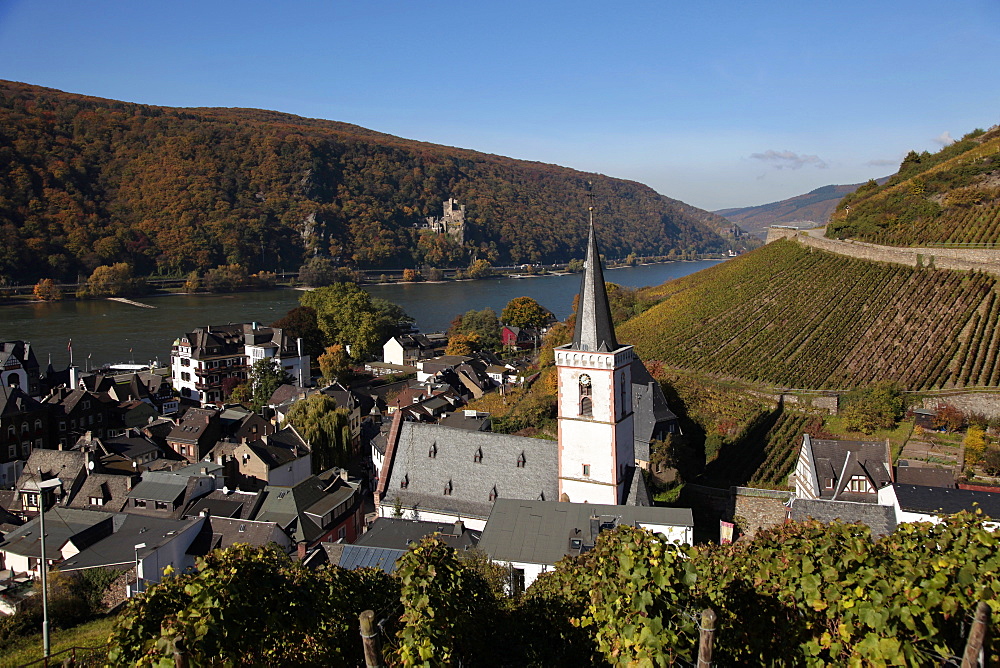 Assmannshausen, Rhine-Valley near Rudesheim, Hesse, Germany, Europe