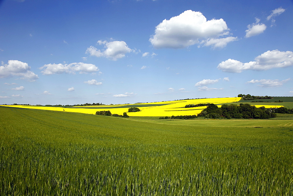 Agricultural landscape at Saargau near Kirf, Rhineland-Palatinate, Germany, Europe