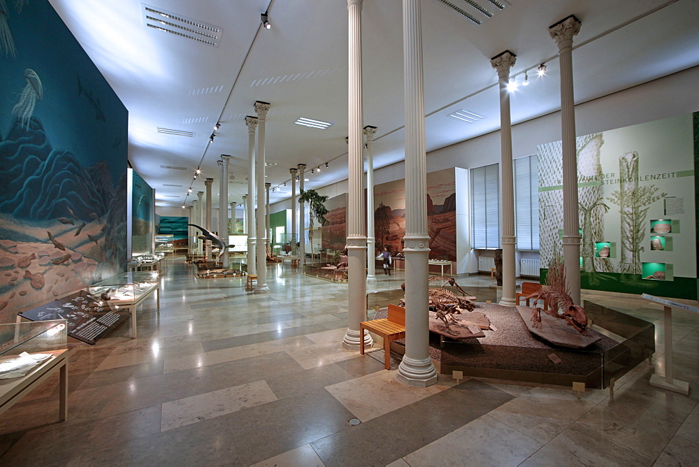 Museum of Natural Science, Karlsruhe, Baden-Wurttemberg, Germany, Europe