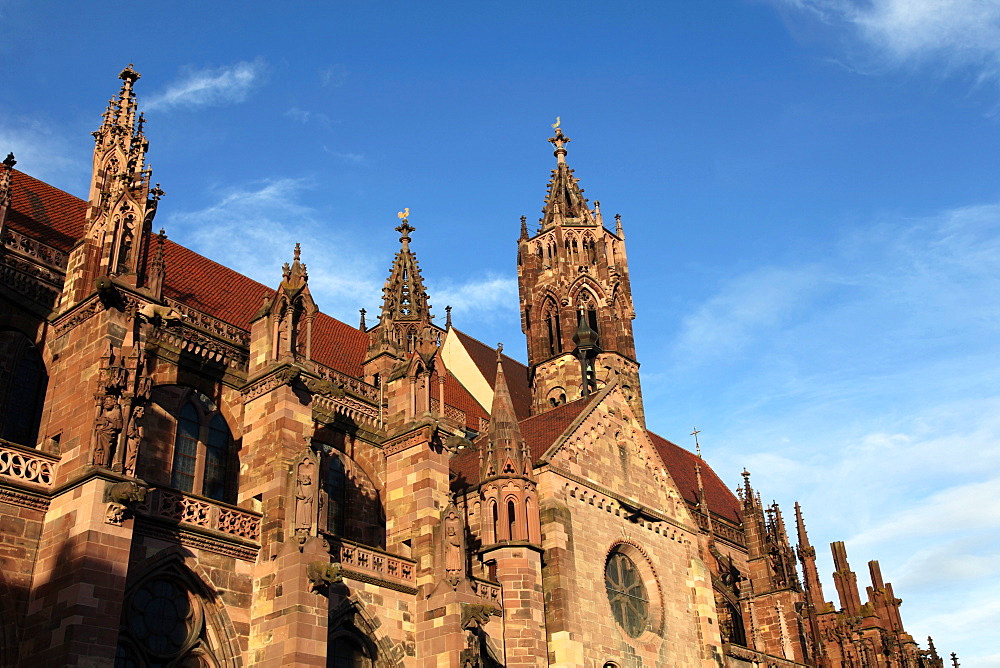 Freiburg Minster, Freiburg, Baden-Wurttemberg, Germany, Europe