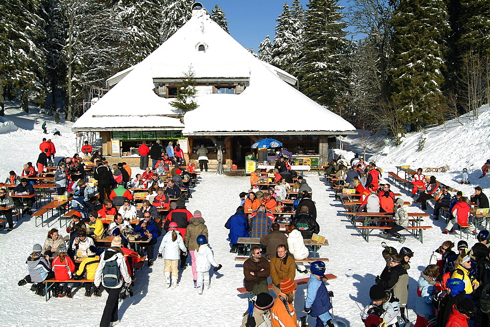 Winter at Feldberg, Black Forest, Baden-Wurttemberg, Germany, Europe