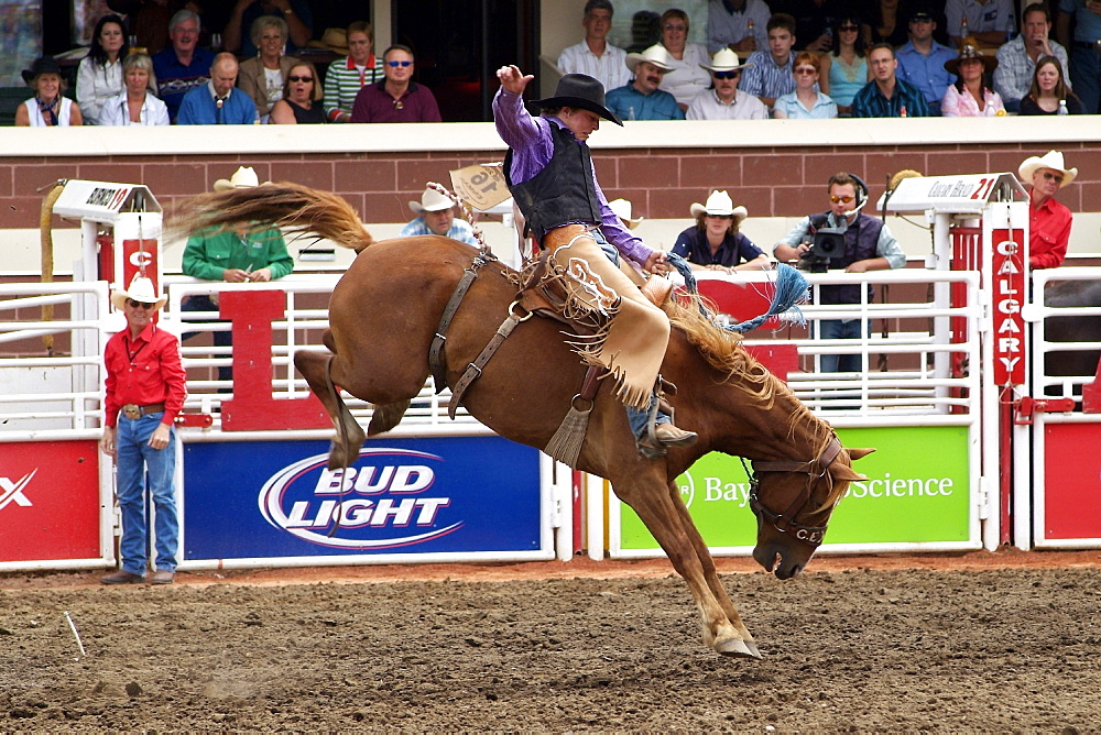 Calgary Stampede, Stampede Park, Calgary, Alberta, Canada, North America