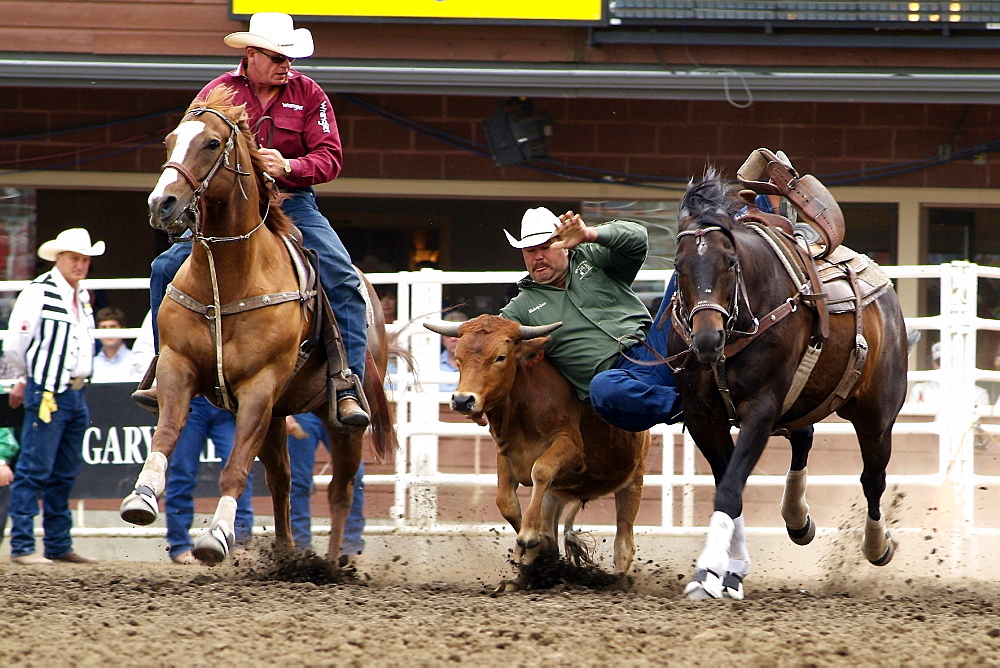 Calgary Stampede, Stampede Park, Calgary, Alberta, Canada, North America