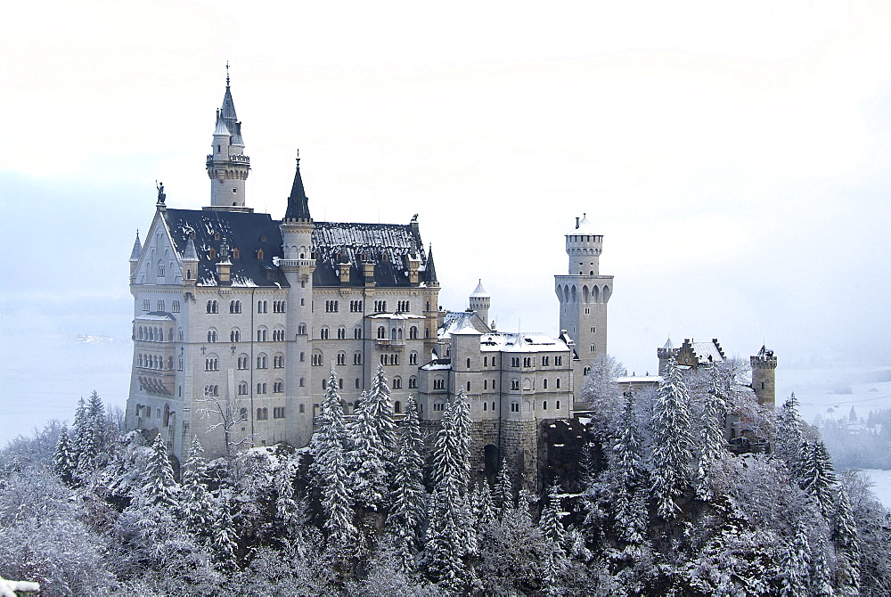 Neuschwanstein Castle in winter, Schwangau, Allgau, Bavaria, Germany, Europe