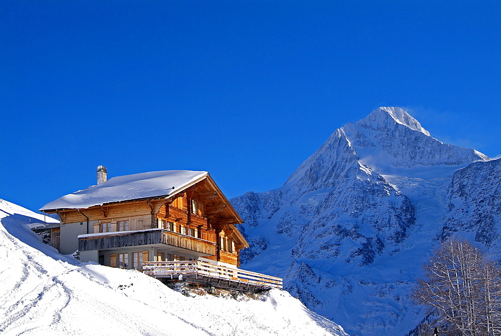 Bietschhorn, Lauchernalp, Lotschental, Valais, Switzerland, Europe