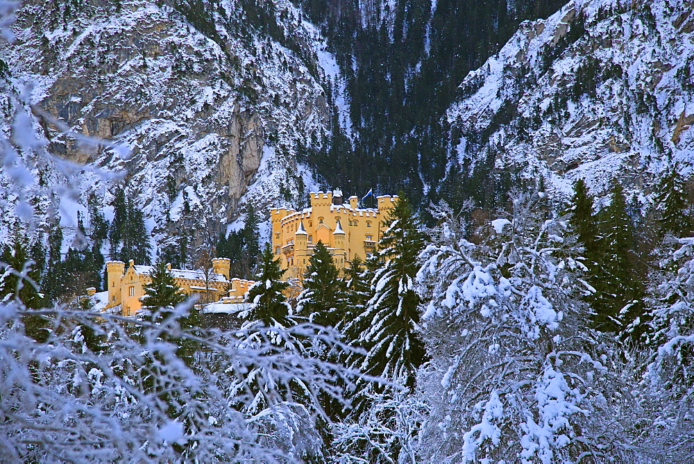 Hohenschwangau Castle near Schwangau, Allgau, Bavaria, Germany, Europe