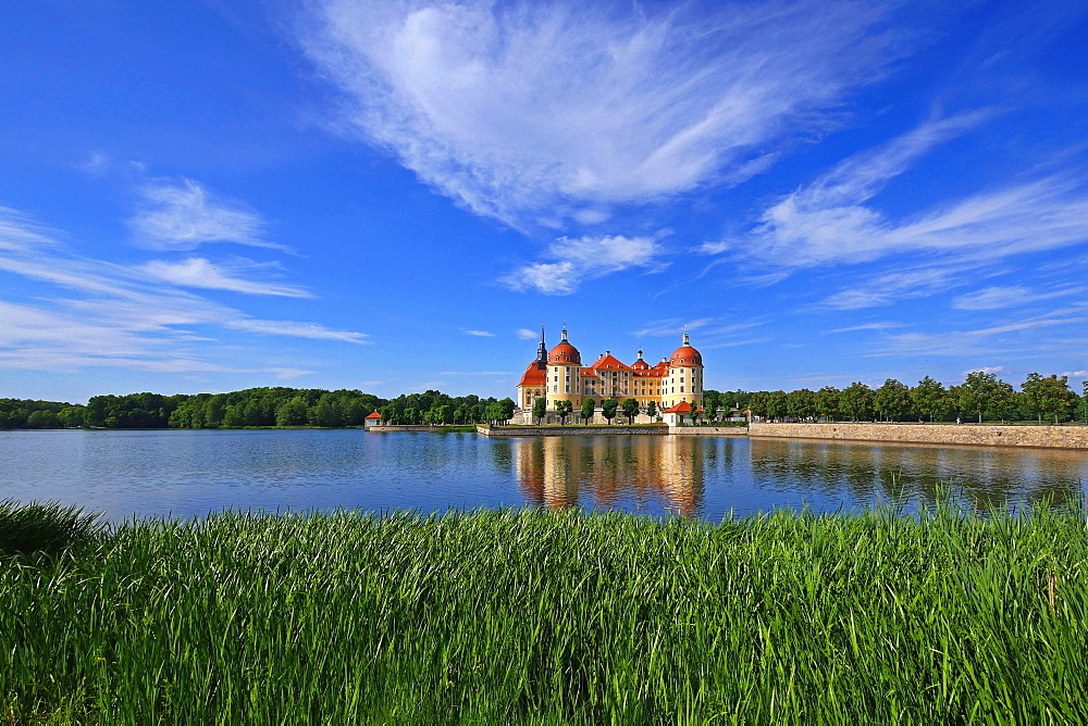 Moritzburg Castle near Dresden, Saxony, Germany, Europe