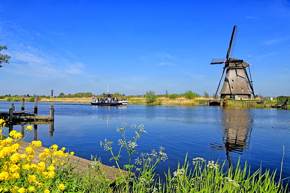 Windmill in Kinderdijk, UNESCO World Heritage Site, South Holland, Netherlands, Europe