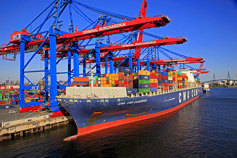 Container Terminal Waltershof, Harbour of Hamburg, Hamburg, Germany, Europe