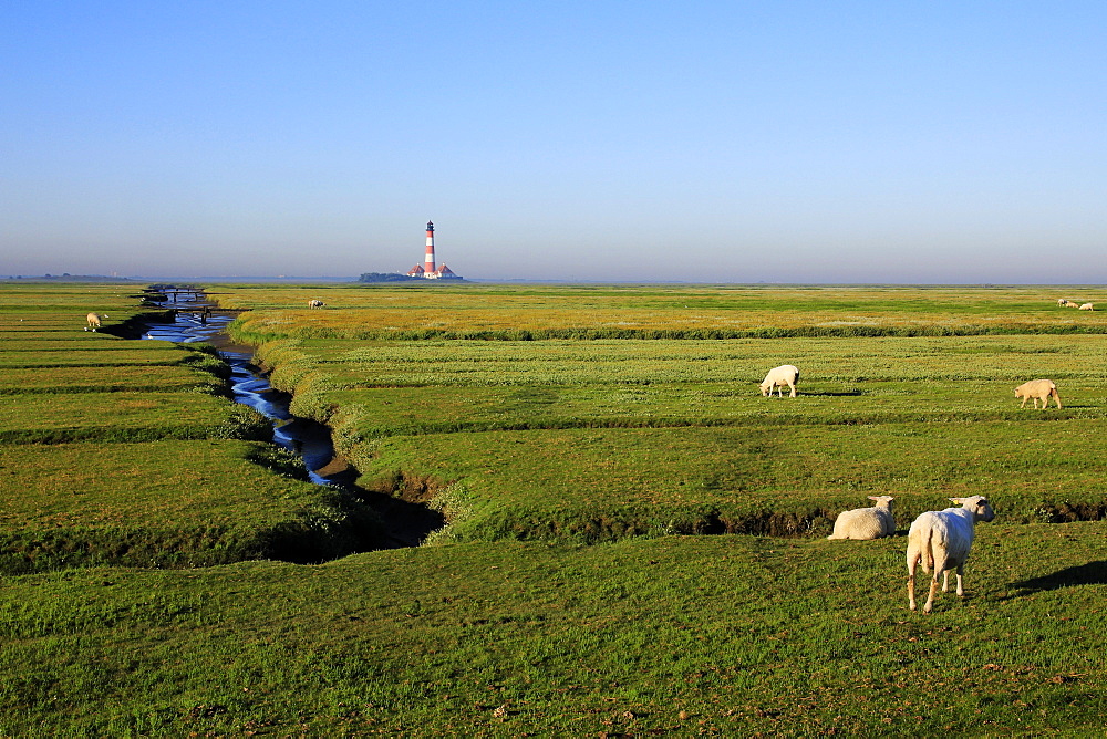 Lighthouse in the Wadden Sea National Park, Westerhever, Schleswig-Holstein, Germany, Europe