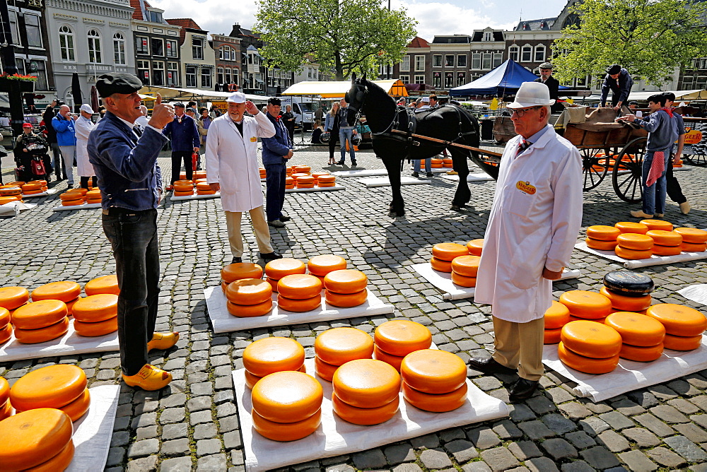 Cheese Market in Gouda, South Holland, Netherlands, Europe