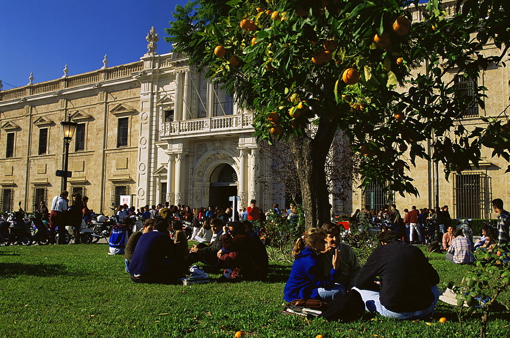 Sevilla University, built in the 1750s as the state tobacco factory, Seville, Andalucia, Spain, Europe