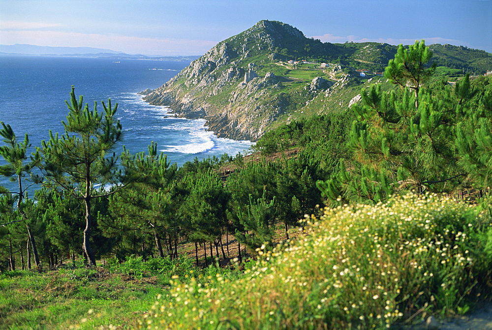 Rugged coastline of the lower estuaries, Galicia, Spain, Europe