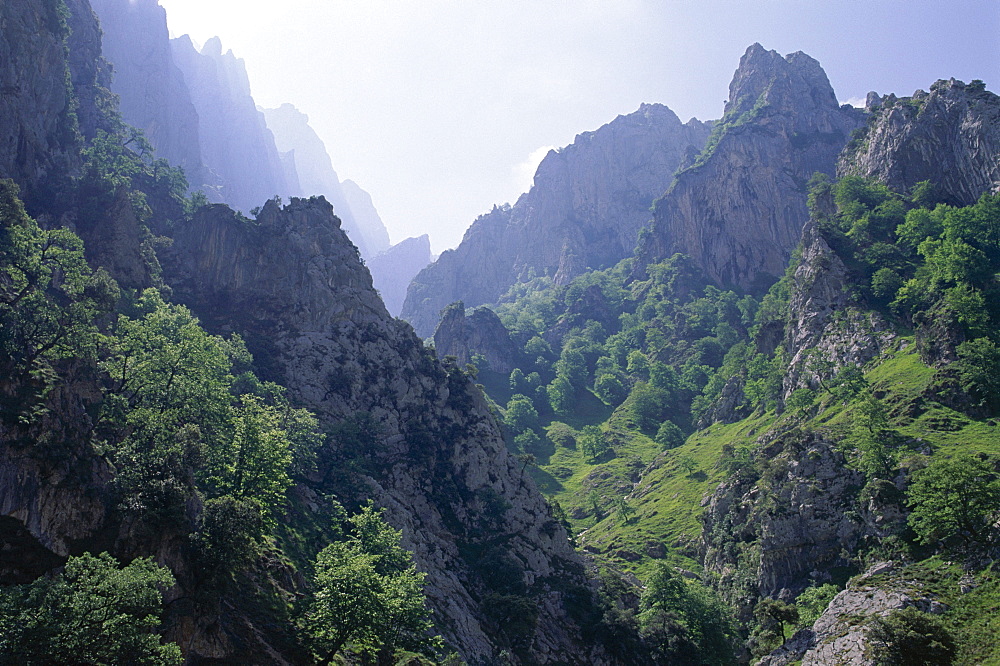 Peaks and high valleys on the side of the Cares Gorge, Picos de Europa, Cantabria, Spain, Europe