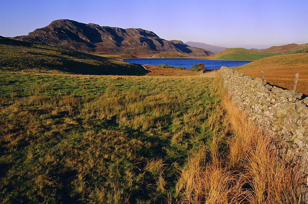 Cadair Idris (Cader Idris) mountain and Gregennen lake (National Trust), Snowdonia National Park, Gwynedd, Wales, UK, Europe