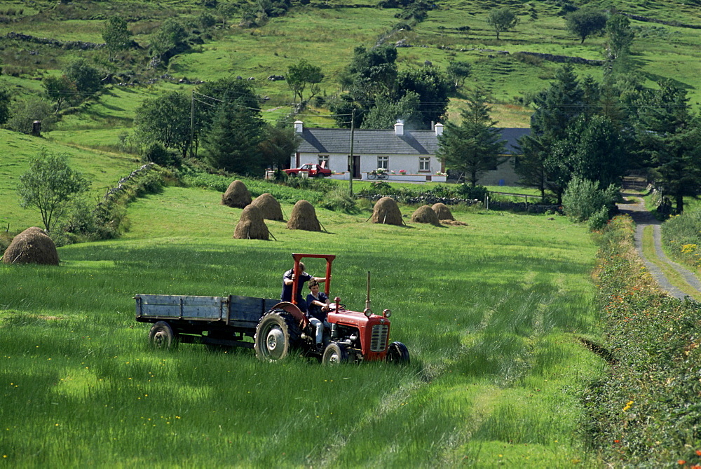 Croft with hay cocks and tractor, Glengesh, West Donegal, County Donegal, Eire (Republic of Ireland), Europe