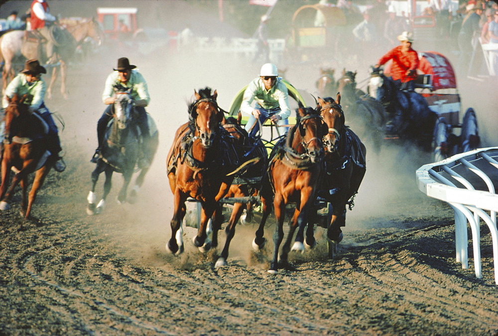 Chuck Wagon Race, Calgary Stampede, Alberta, Canada