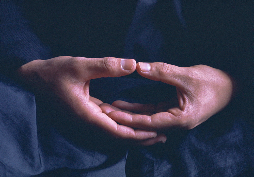 Hands, Za-Zen meditation, Elheiji (Eiheiji) Zen monastery, Japan, Asia