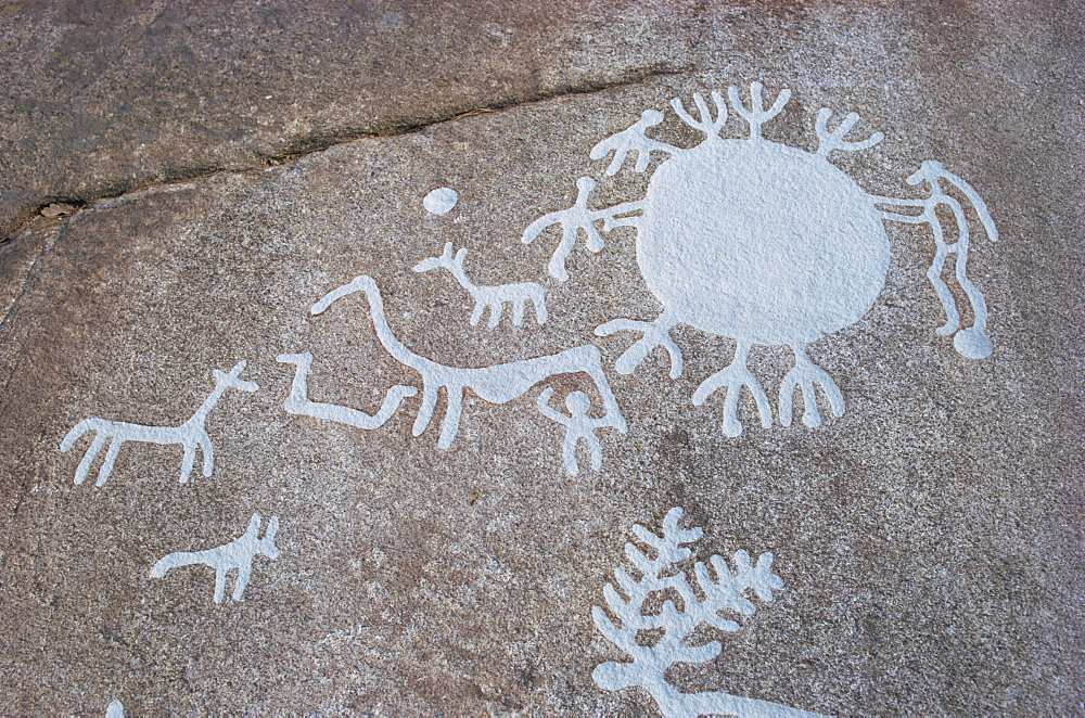 Sun disk symbol with animals, Hallristningar rock carvings dating from between 1500 and 1000 BC, Tanum, UNESCO World Heritage Site, Sweden, Scandinavia, Europe