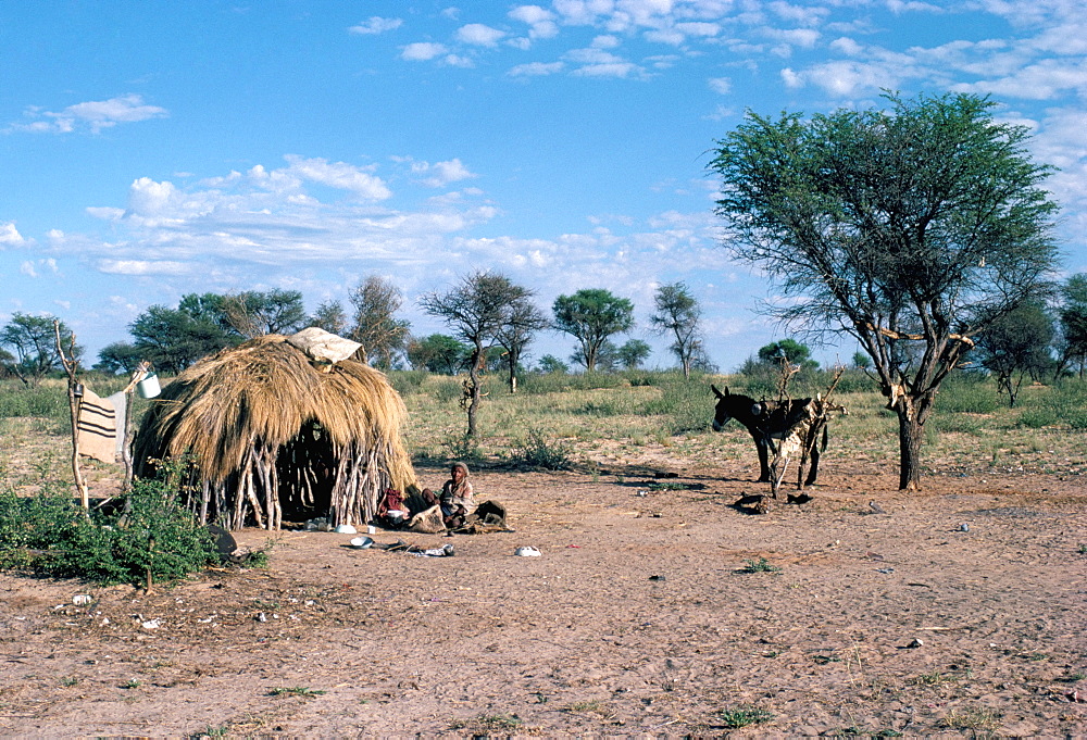 Bushmen, Kalahari, Botswana, Africa