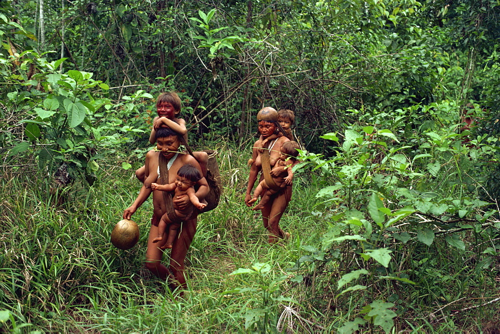 Yanomami Indians on their way to a feast, Brazil, South America