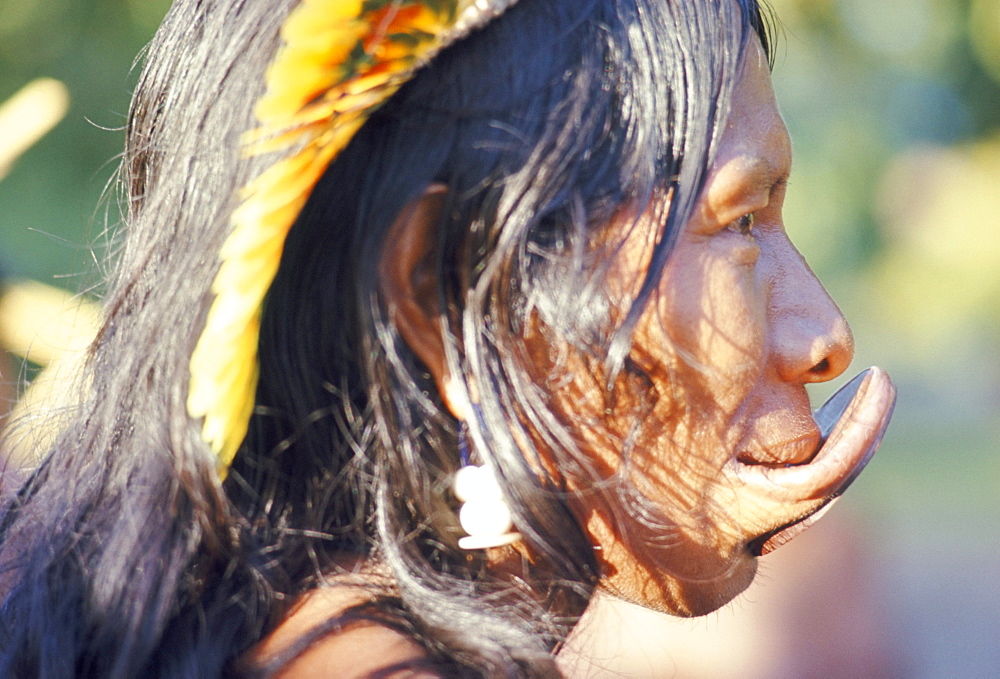 Portrait of a Suya Indian with lip plate, Brazil, South America (1971)