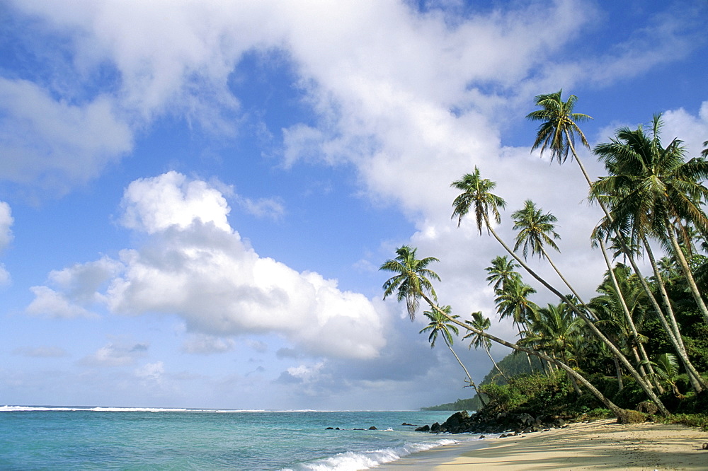 Palm trees and sea, Lalomanu Beach, Upolu Island, Western Samoa, Pacific