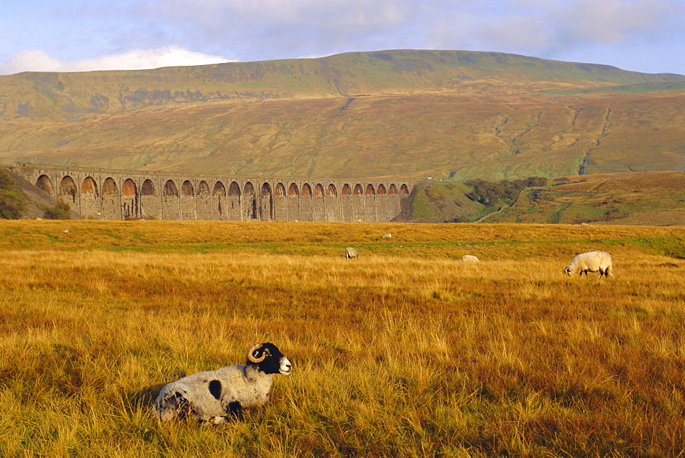 Ribble Head Viaduct, Yorkshire, England, United Kingdom, Europe