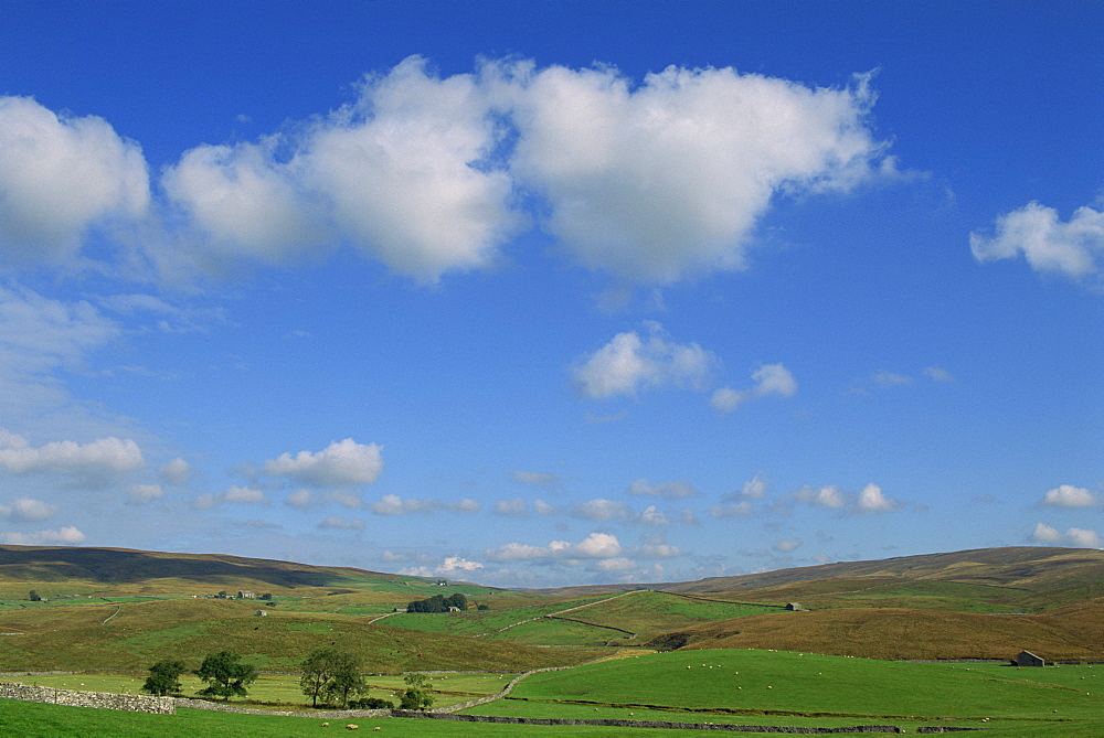 White clouds and blue skies over dales landscape near Ribble Head, North Yorkshire, England, United Kingdom, Europe