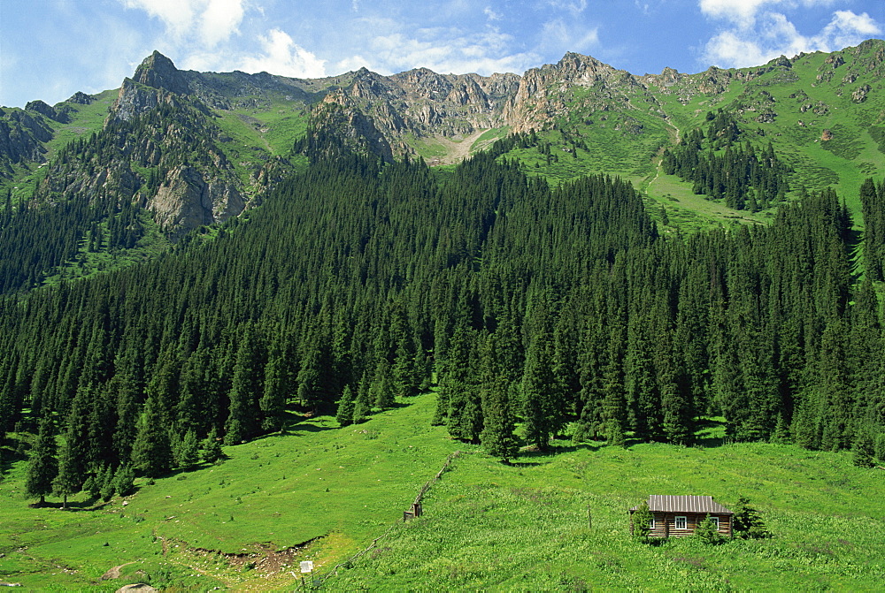 Hut and trees in alpine landscape at Altyn-Arashan near Kara-Kol in Kyrgyzstan, Central Asia, Asia