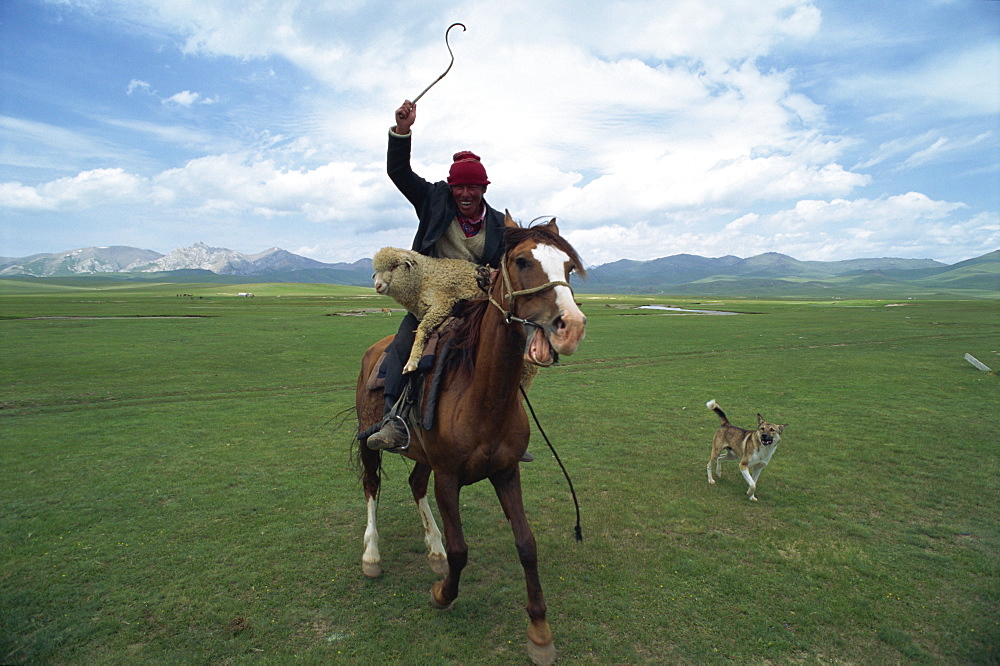 Wild Kirghiz nomad on horse with sheep, Lake Son-Kul, Kyrgyzstan, Central Asia, Asia