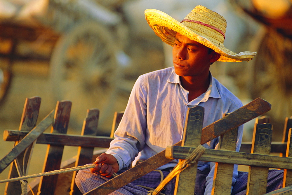 Bullock cart driver, Myanmar, Asia