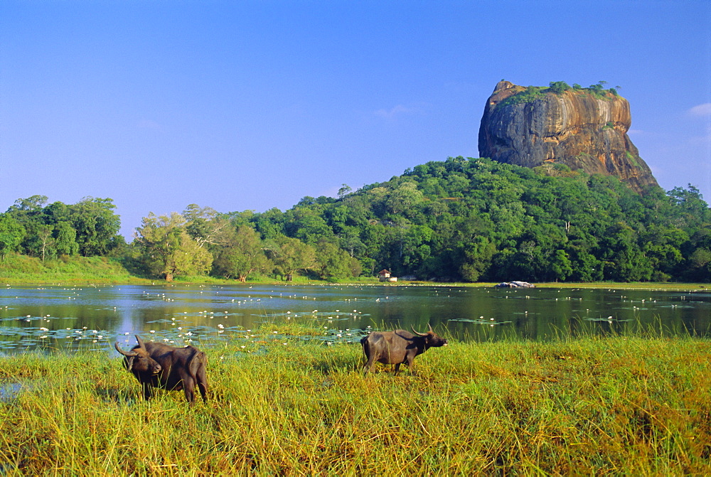 Citadel of Sigiriya, Sri Lanka, Asia