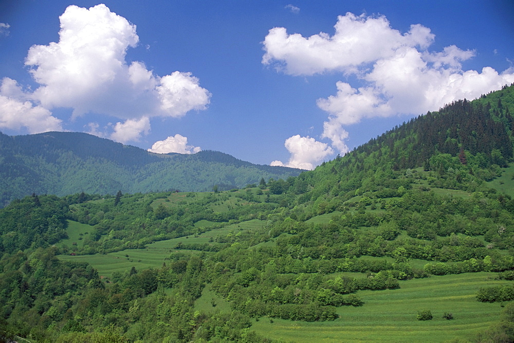 Typical hilly landscape, Vlkonec, Liptov region, Slovakia, Europe