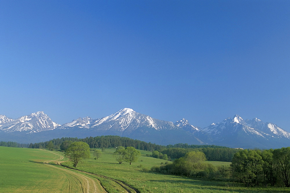 High Tatra Mountains from near Poprad, Slovakia, Europe