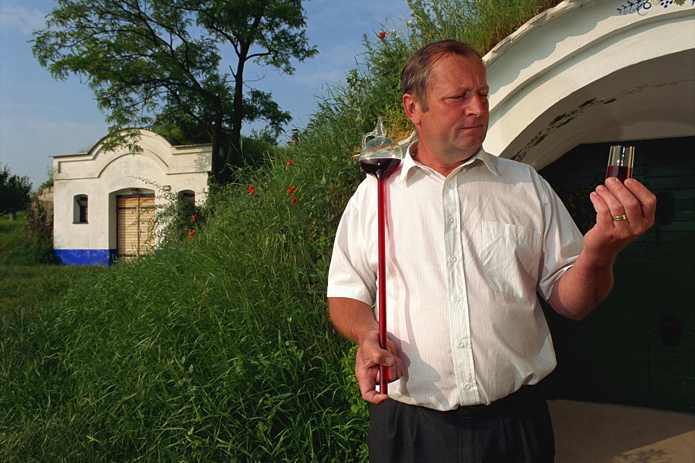 Winegrower sampling his wine, Petrov, South Moravia, Czech Republic, Europe